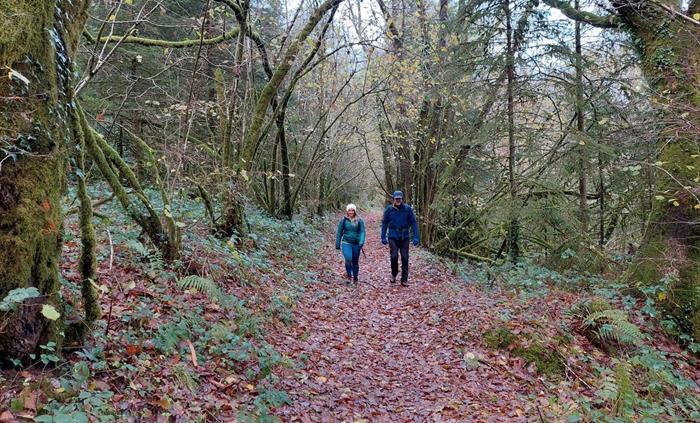 Walking in Byrgwm, Brechfa Forest